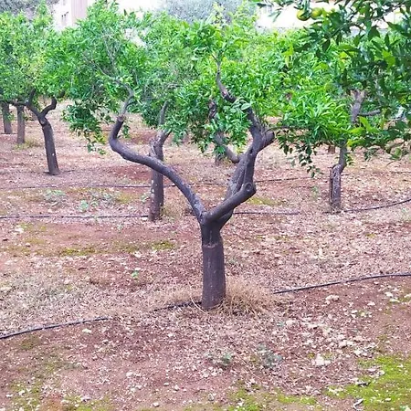 Giardino Delle Arance Luxury * Παλέρμο